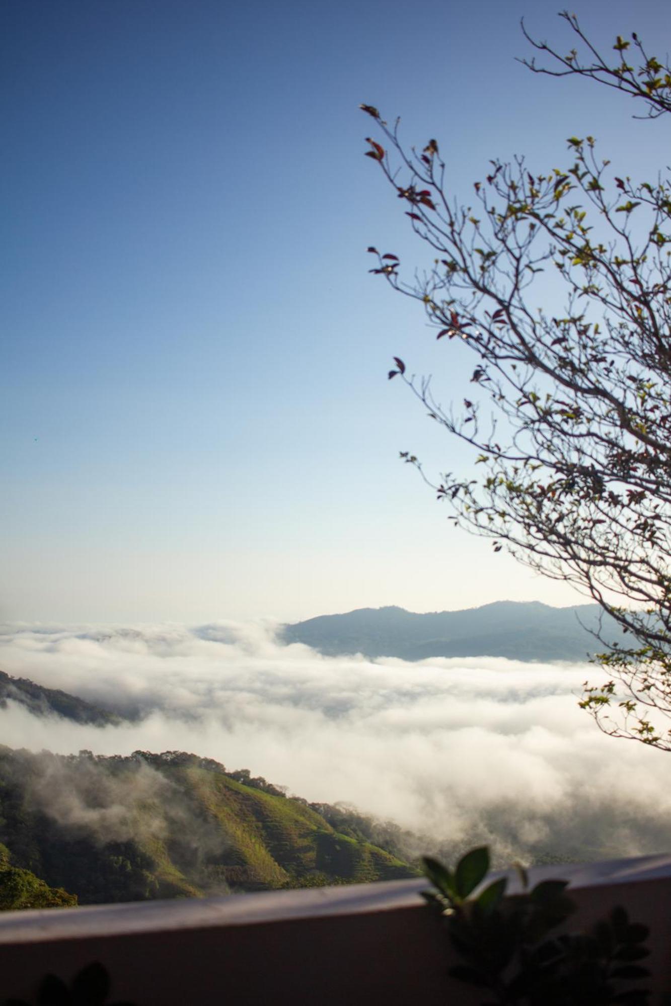 ניקויה Nosara Hideaway 2 - Breakfast Included & Mountain View Cabins מראה חיצוני תמונה